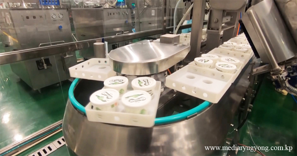 Taesongsan Ice Cream Factory