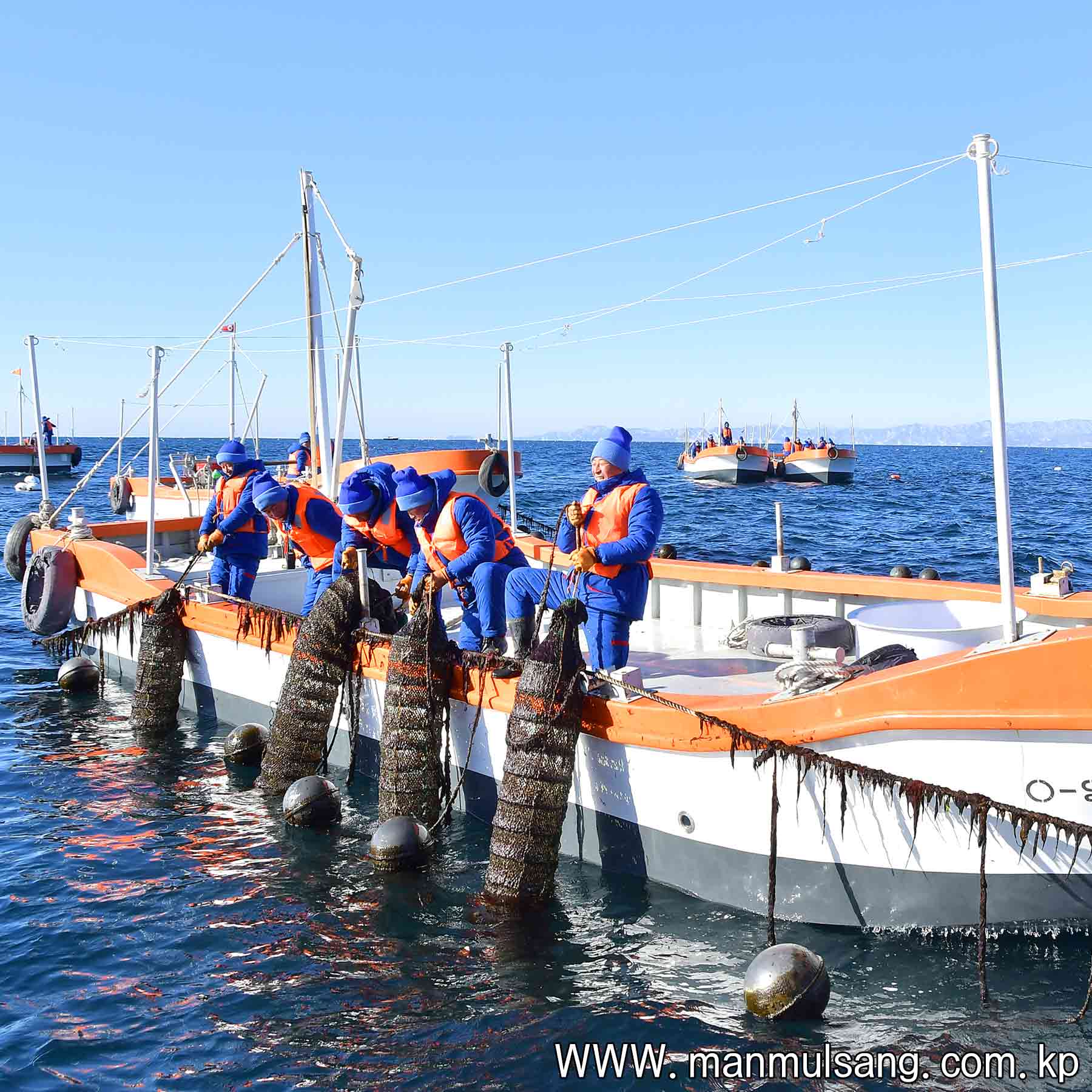 Sinpho City Offshore Farm