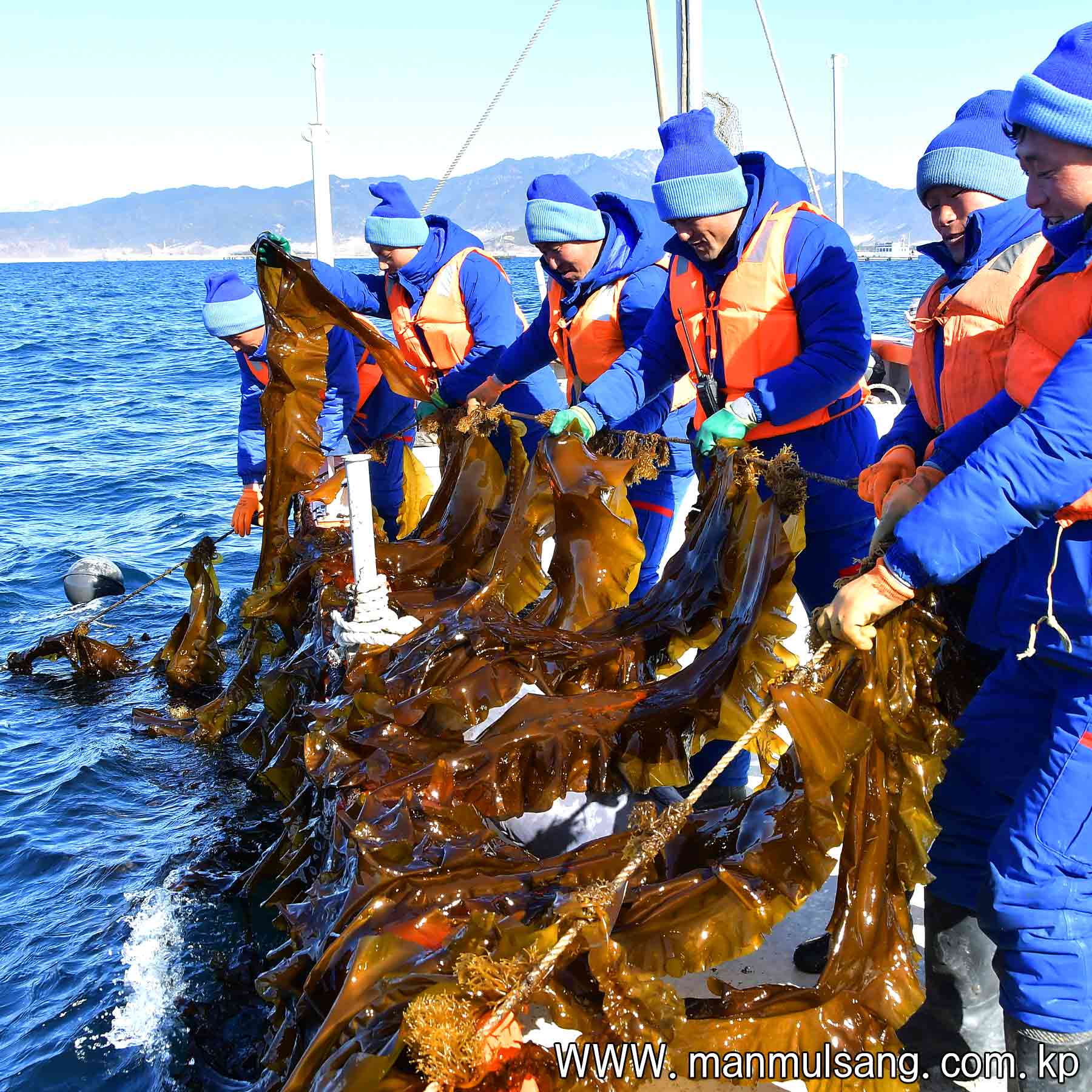 Sinpho City Offshore Farm