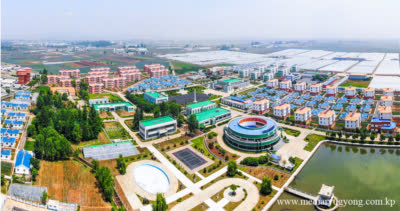 Ferme de culture maraîchère de Jangchon