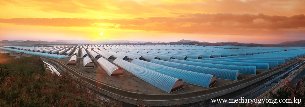 강동종합온실농장