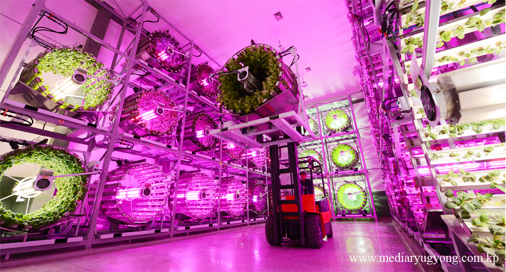 강동종합온실농장