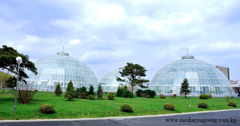 강동종합온실농장