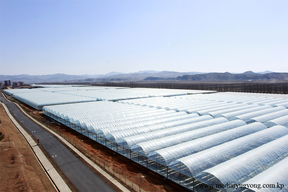 강동종합온실농장