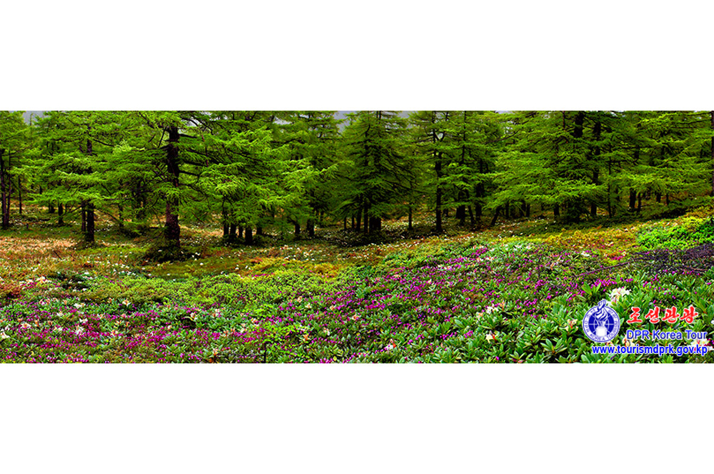 백두산의 대자연