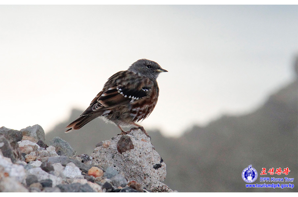 백두산의 대자연
