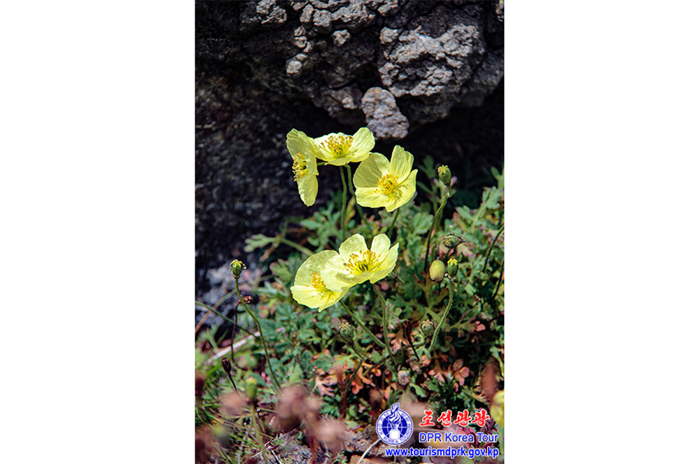 백두산의 대자연