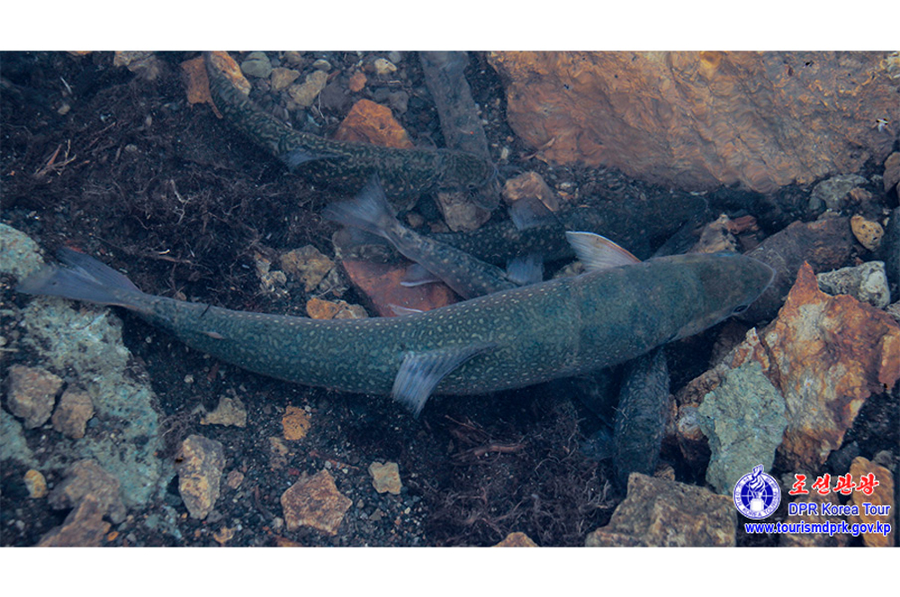 백두산의 대자연