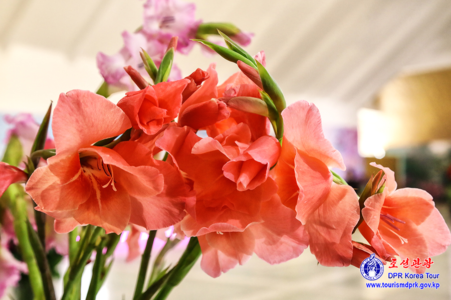 화초축전-2026
