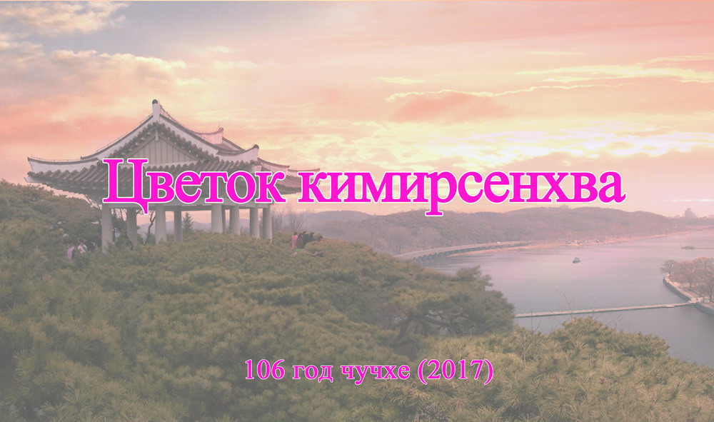 Цветок кимирсенхва