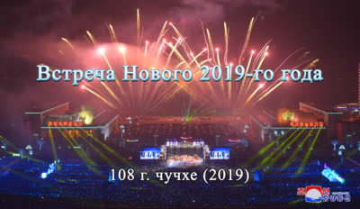 Встреча Нового 2019-го года