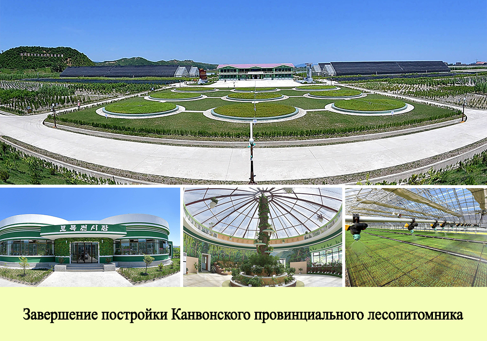 КНДР : 2018 год в фотографиях