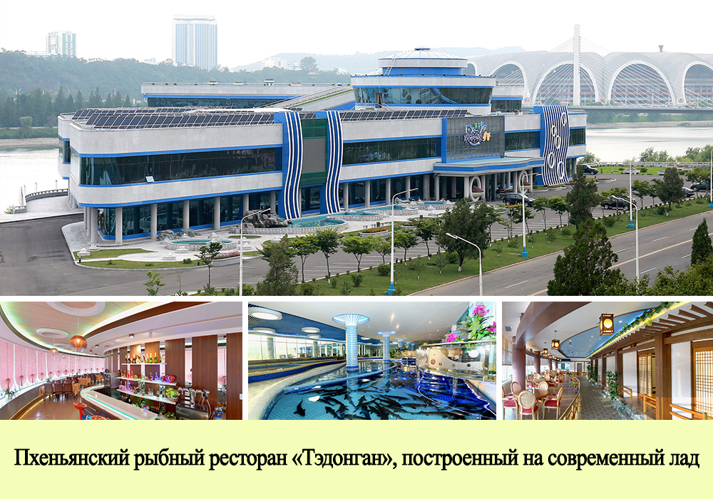 КНДР : 2018 год в фотографиях