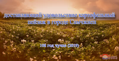 Доставляющий удовольствие картофельный пейзаж в уезде Самчжиен