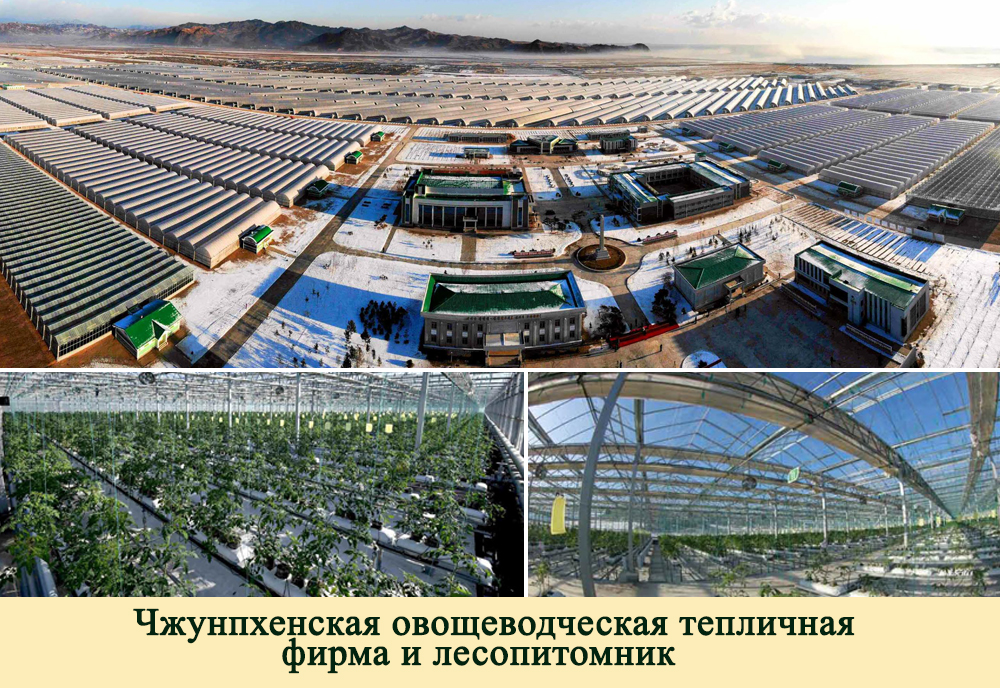 2019-ый год в фотографиях