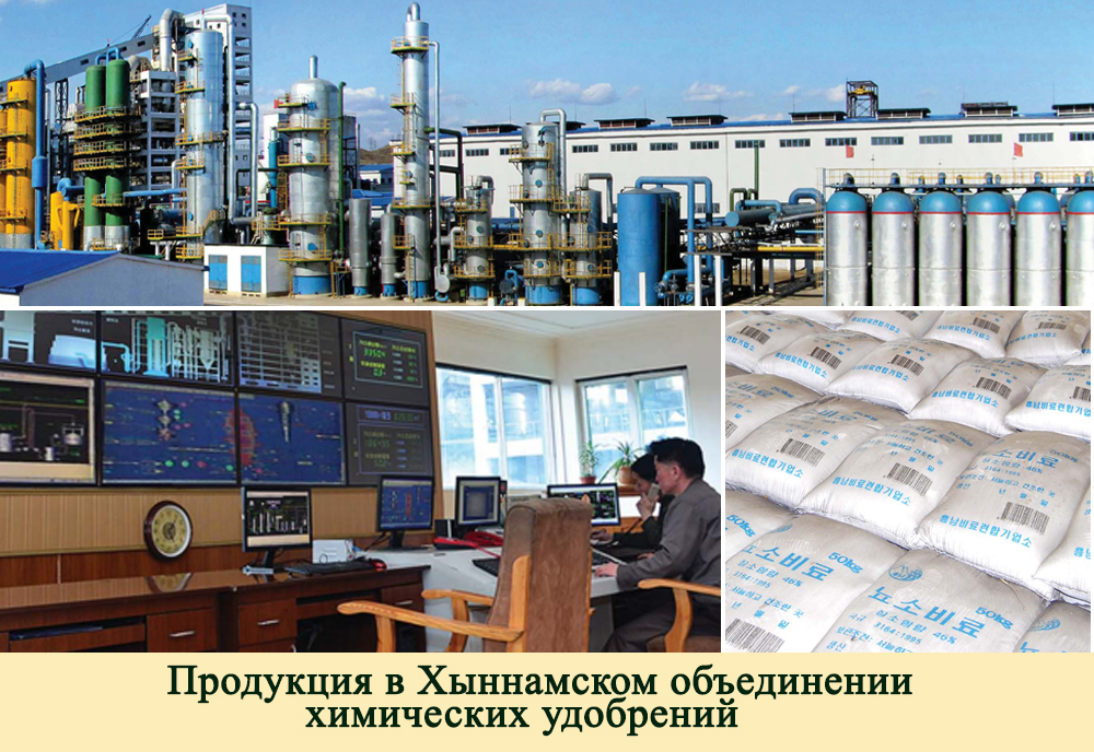 2019-ый год в фотографиях