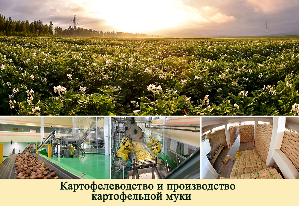 2019-ый год в фотографиях