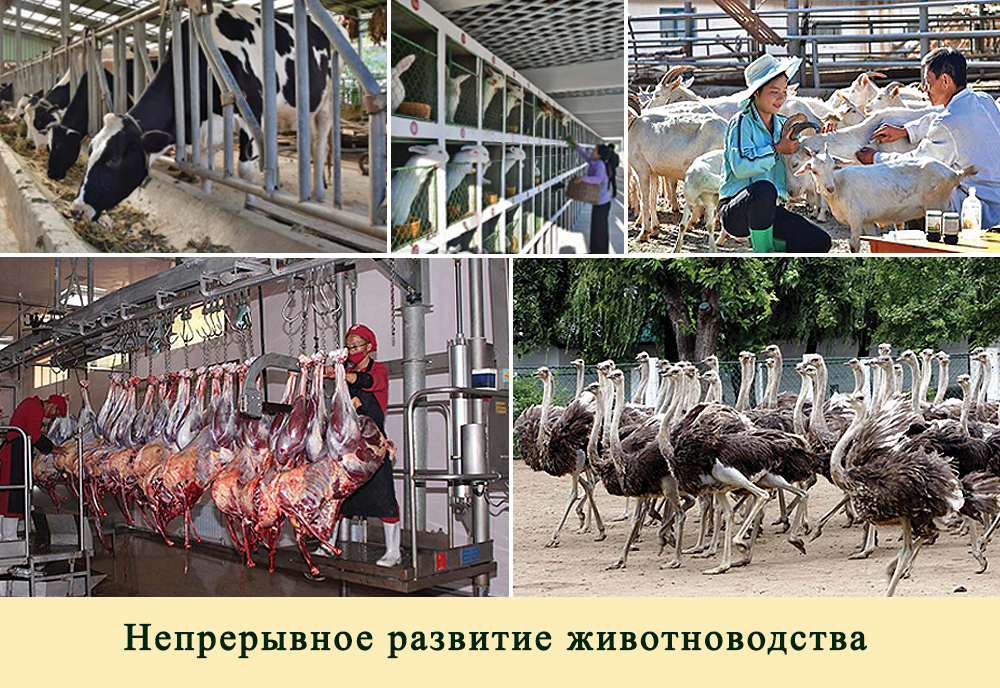 2019-ый год в фотографиях