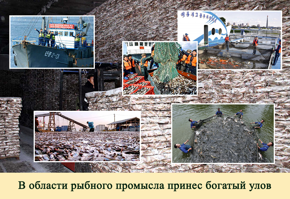 2019-ый год в фотографиях