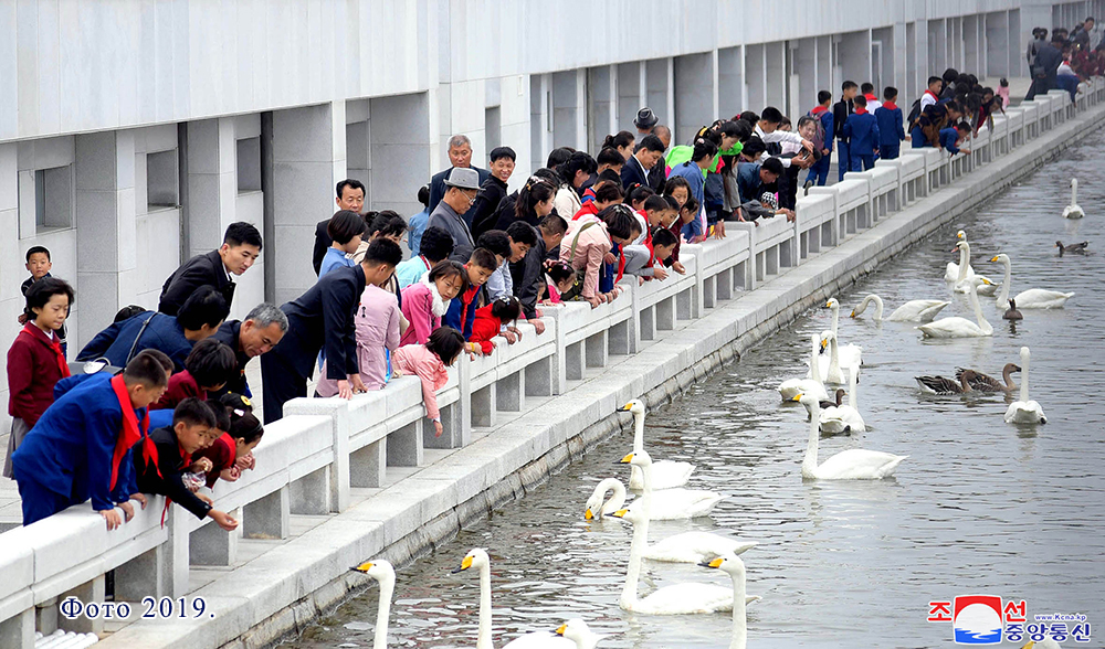 Наша жизнь(3)