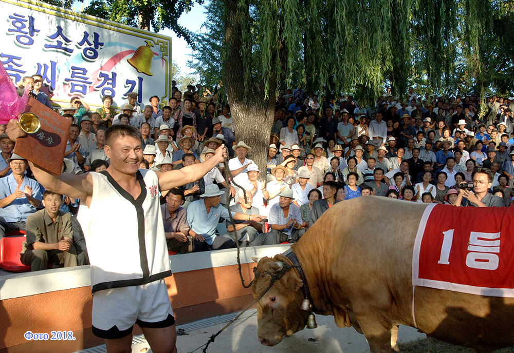 Корейская национальная борьба «сирым» имеет долгую историю