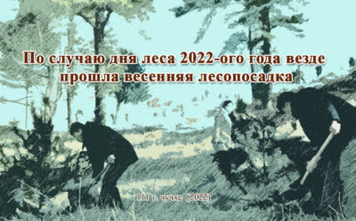 По случаю дня леса 2022-ого года везде прошла весенняя лесопосадка