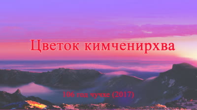 Цветок кимченирхва