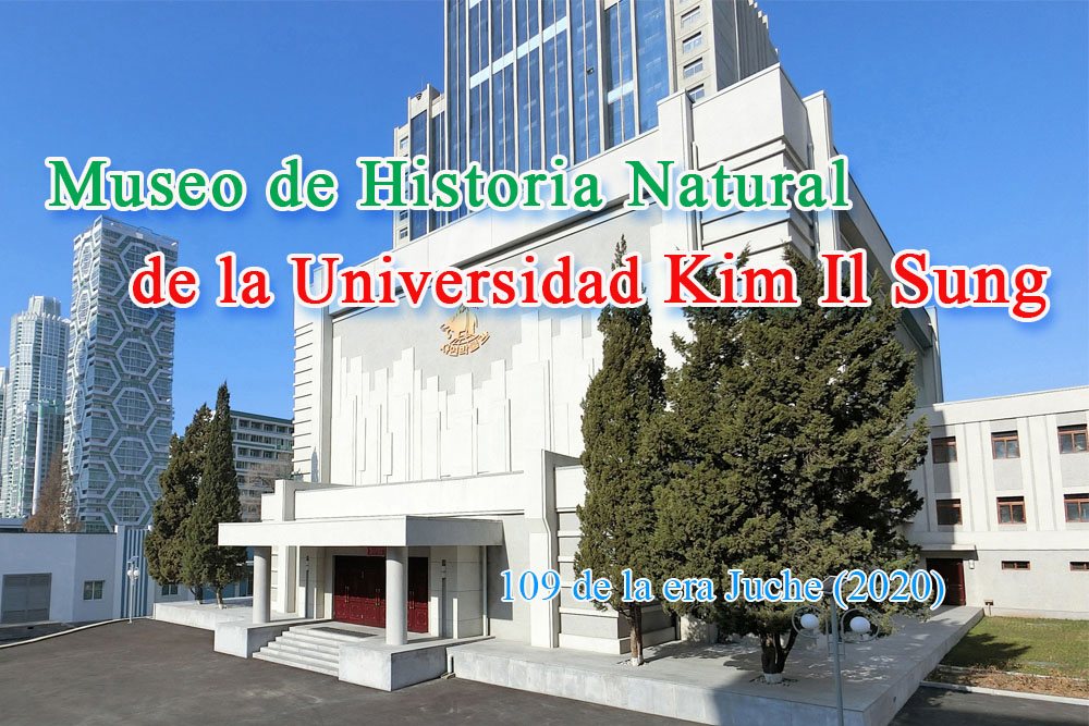 Museo de Historia Natural de la UniversidadKim Il Sung