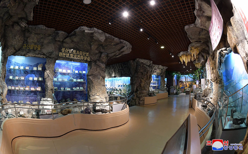 Museo de Historia Natural de la UniversidadKim Il Sung