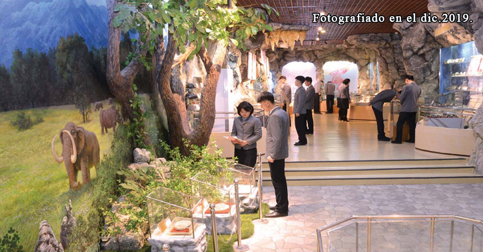 Museo de Historia Natural de la UniversidadKim Il Sung