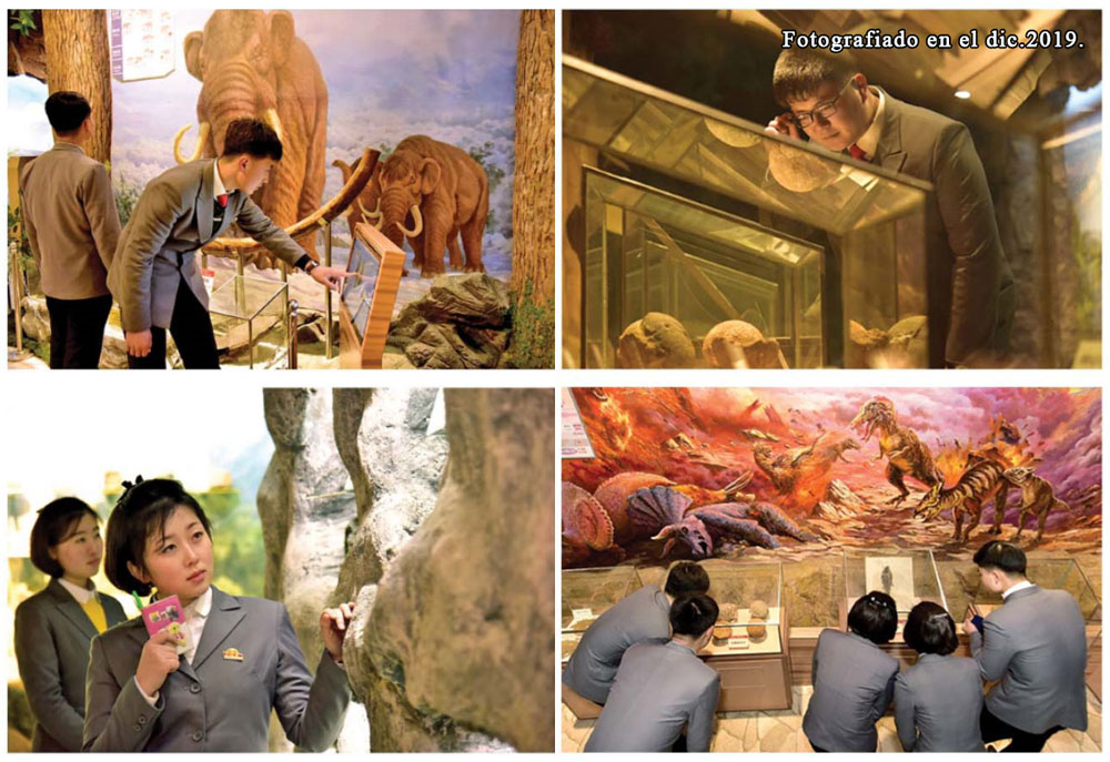 Museo de Historia Natural de la UniversidadKim Il Sung