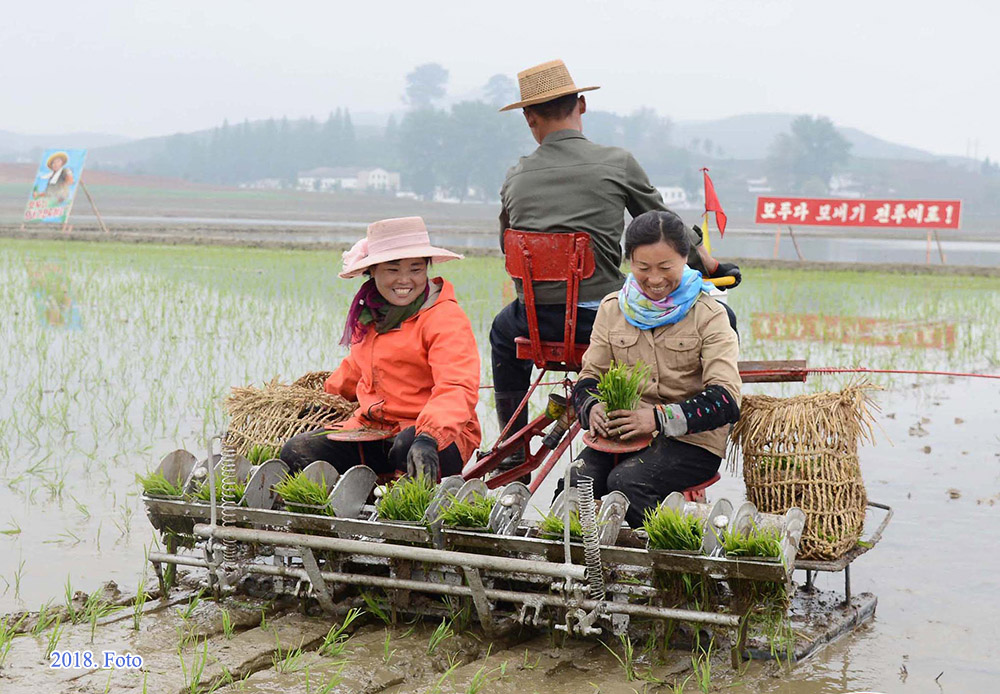Centro de trabajo de las mujeres(1)