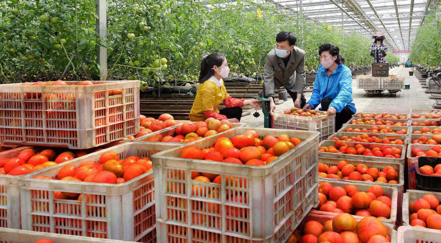 Centro de trabajo de las mujeres(1)