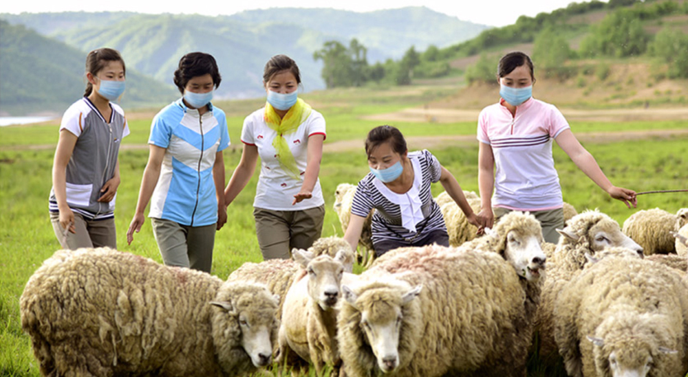 Centro de trabajo de las mujeres(1)