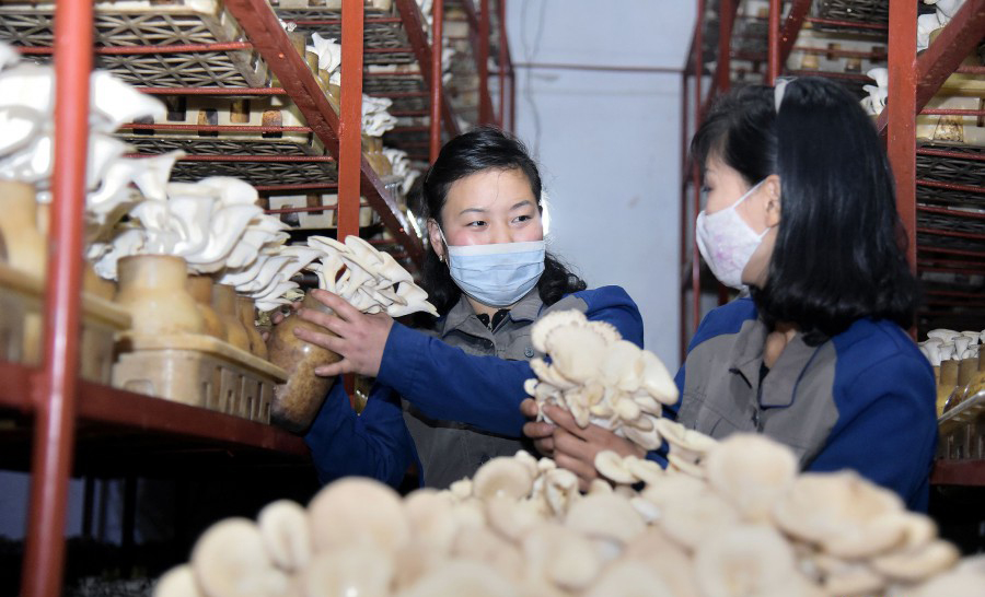 Centro de trabajo de las mujeres(1)