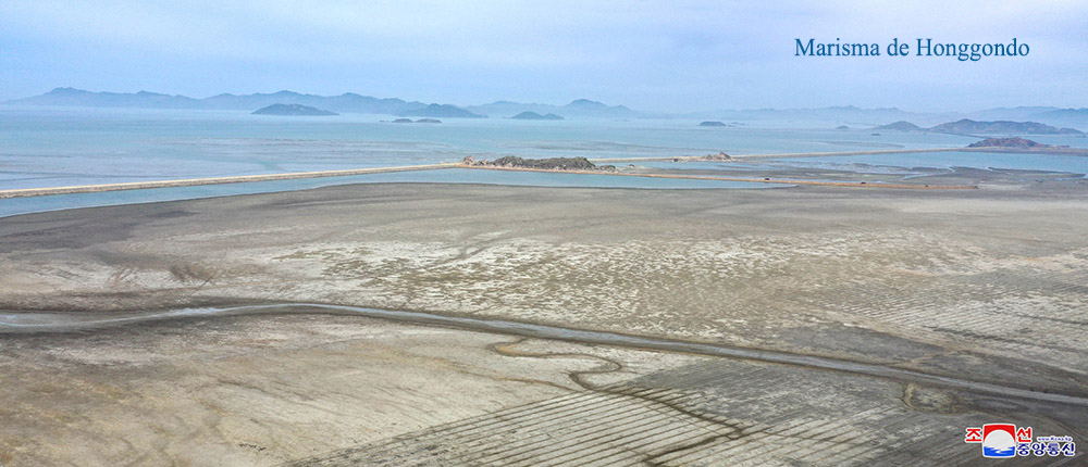 Marismas en la zona del Mar Oeste