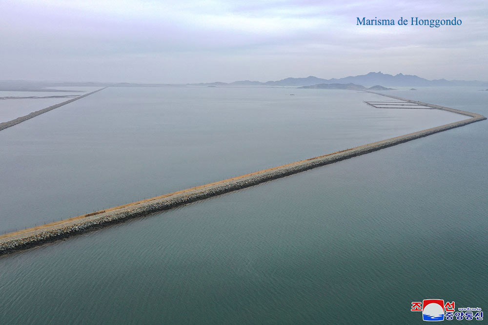Marismas en la zona del Mar Oeste