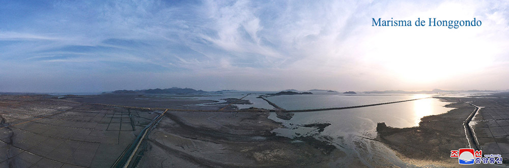 Marismas en la zona del Mar Oeste