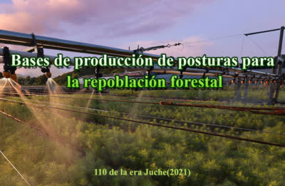 Bases de producción de posturas para la repoblación forestal