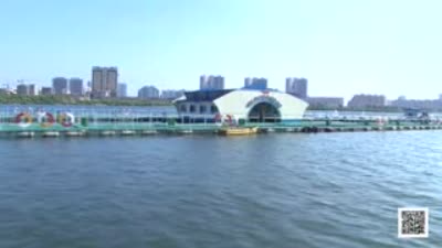 Cage-net Fish Farm on the Taedong River