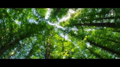 平壌の庭園――牡丹峰
